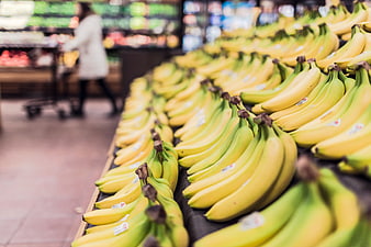 Rows of fresh yellow bananas in a grocery store aisle