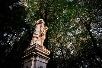 Low angle view of stone saint statue in forest