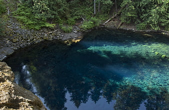 Crystal clear blue alpine pond in dense forest