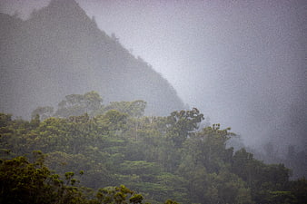 Misty Mountain Landscape with Dense Green Forest
