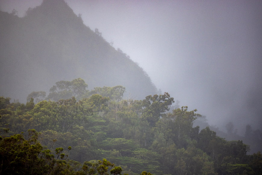 Misty Mountain Landscape with Dense Green Forest