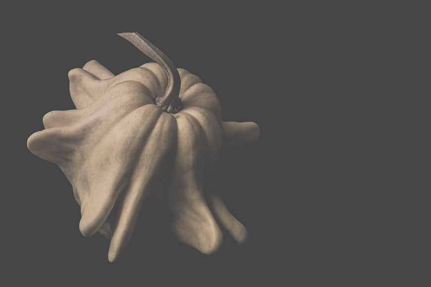 3D Rendered White Turban Squash on Dark Gray Background