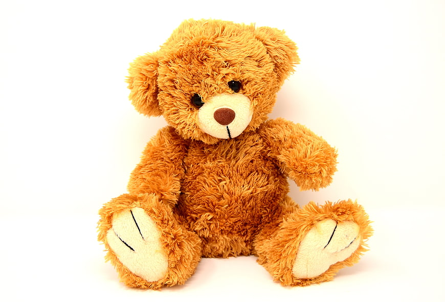Cute fluffy brown teddy bear sitting on white background