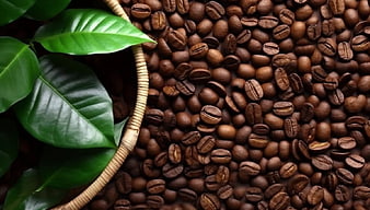 Roasted Coffee Beans and Green Leaves in Wicker Basket