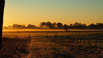Golden sunrise over misty rural landscape with frost