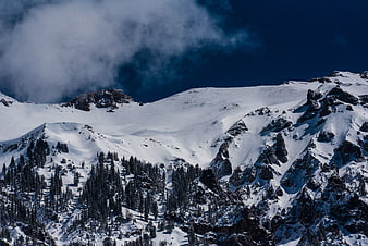 Snowy Mountain Peaks with Pine Forest and Clouds