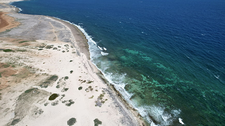 Aerial View of Sandy Coastline Meeting Deep Blue Ocean