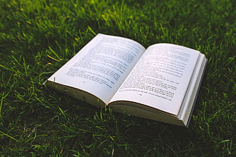 Open paperback book lying on green grass in sunlight