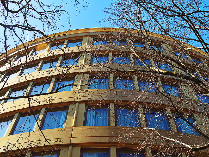 Curved office building facade through bare tree branches