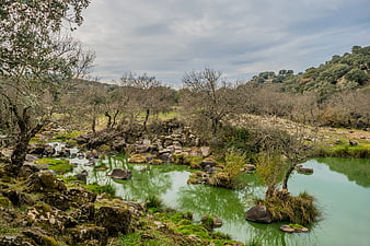Serene green river winding through rocky landscape with trees