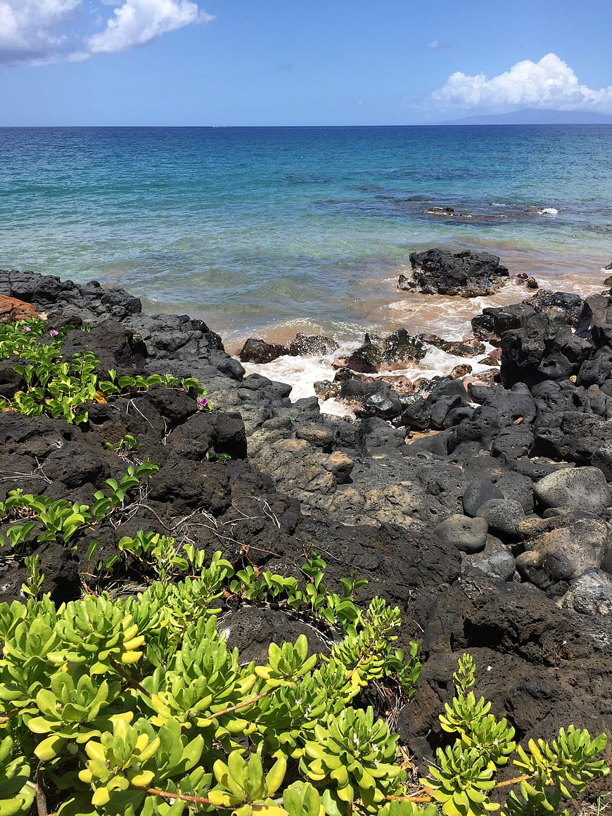 Tropical rocky coastline with green plants and turquoise ocean