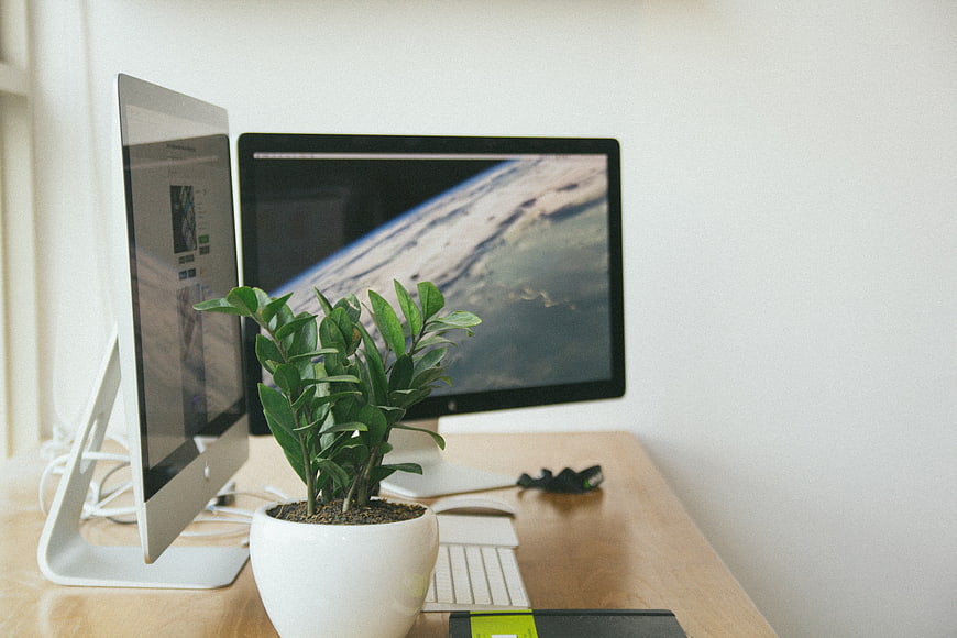 Modern minimalist workspace with dual monitors and potted plant