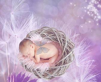 Sleeping newborn baby with fairy wings in a nest