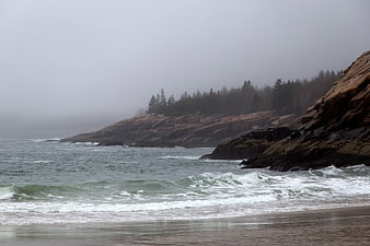 Foggy Rocky Coastline with Pine Trees and Ocean Waves