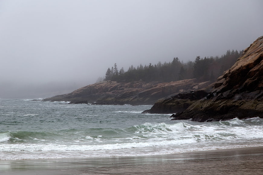 Foggy Rocky Coastline with Pine Trees and Ocean Waves