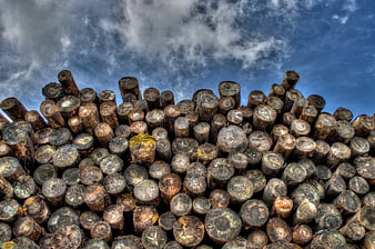Stack of cut logs against dramatic cloudy blue sky