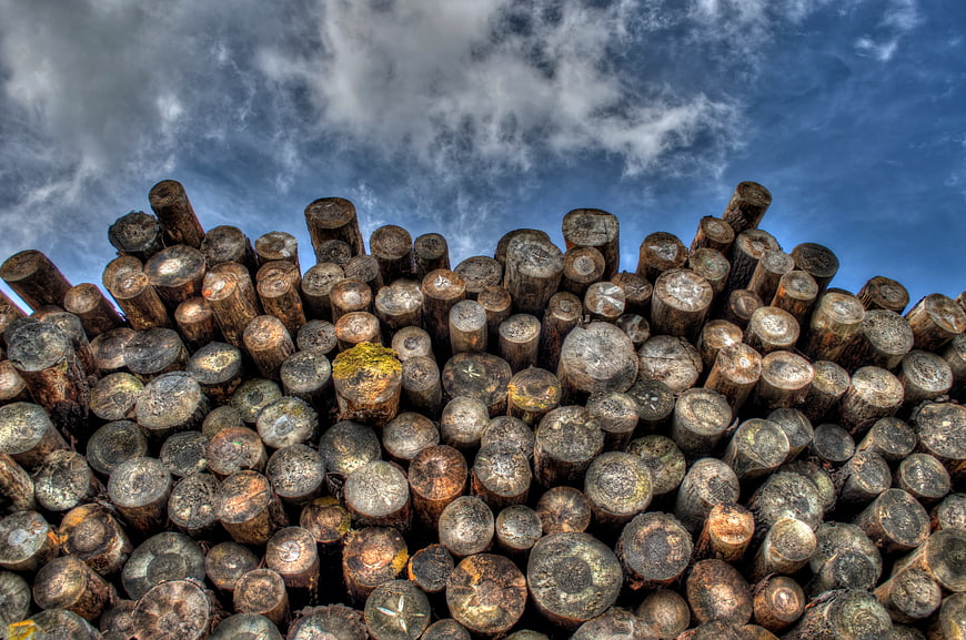 Stack of cut logs against dramatic cloudy blue sky