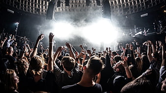 Energetic crowd at a live concert with bright stage lights