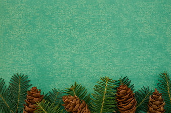 Christmas Pine Branches and Cones on Vintage Teal Background