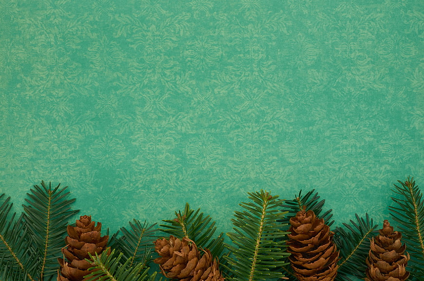 Christmas Pine Branches and Cones on Vintage Teal Background