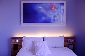 Modern Hotel Bedroom with Blue Accent Wall and Wall Art