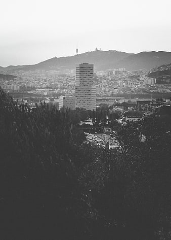 Black and white cityscape with tall building and hills