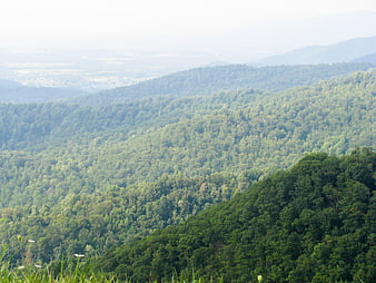 Lush Green Mountain Forest Landscape with Hazy Valley View