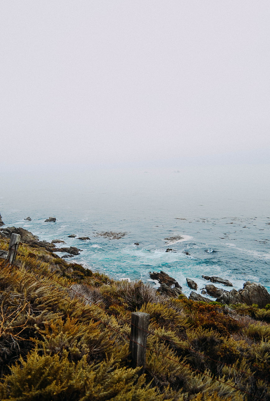 Misty Coastal Cliff Landscape with Ocean View and Scrub