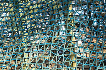 Close-up of blue plastic mesh fence with blurred nature background