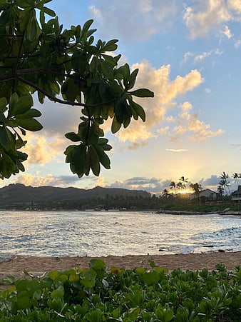 Tropical sunset over ocean with foreground foliage