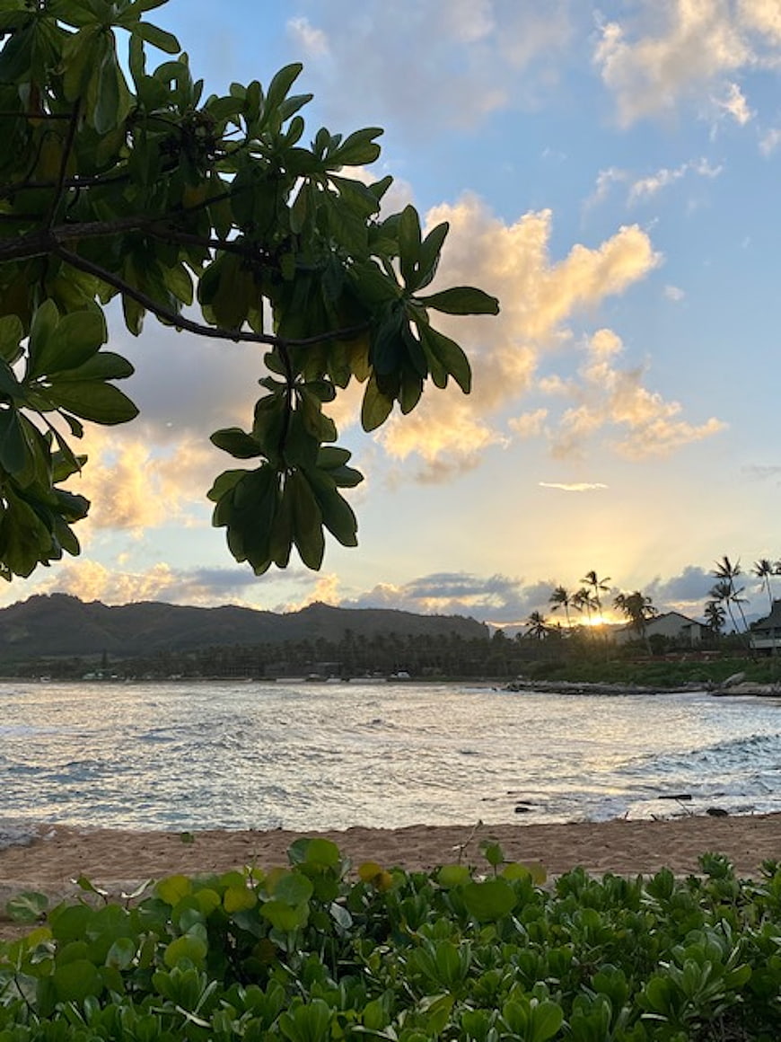 Tropical sunset over ocean with foreground foliage