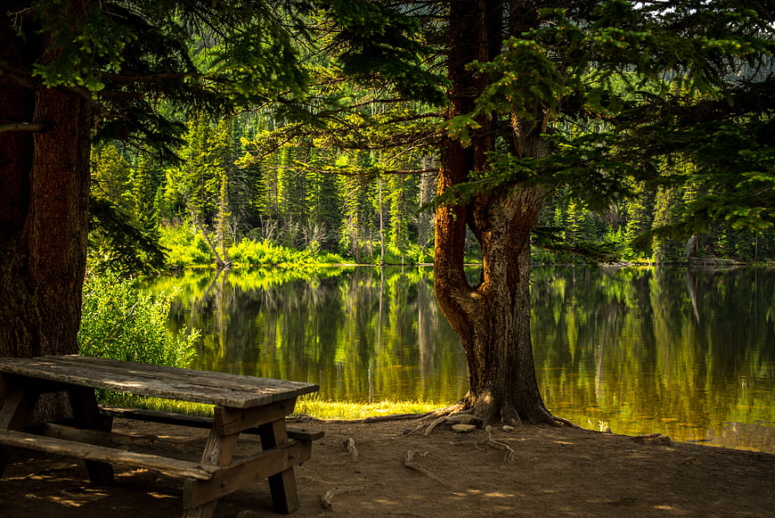 Serene Picnic Table by Lake in Forest