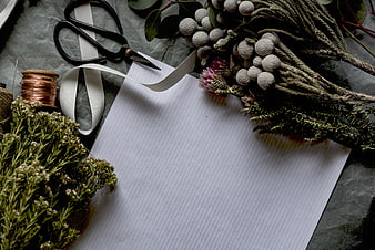 Flat lay of dried flowers, scissors, and white paper on gray background