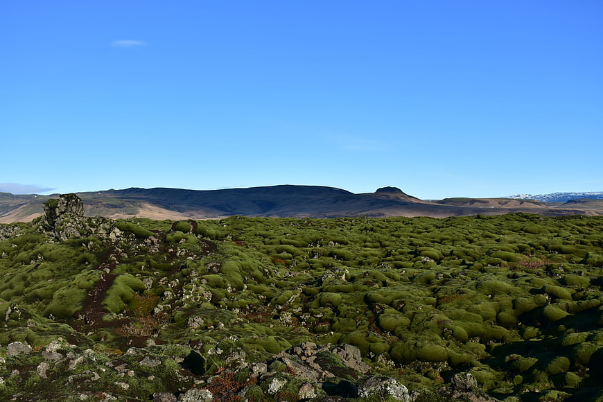 Vibrant Green Mossy Lava Field Landscape in Iceland