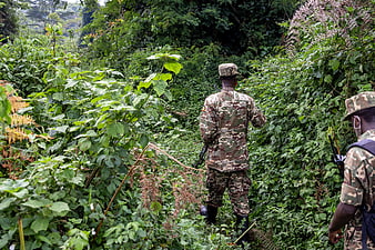 Soldiers in camouflage uniforms walking through dense jungle forest