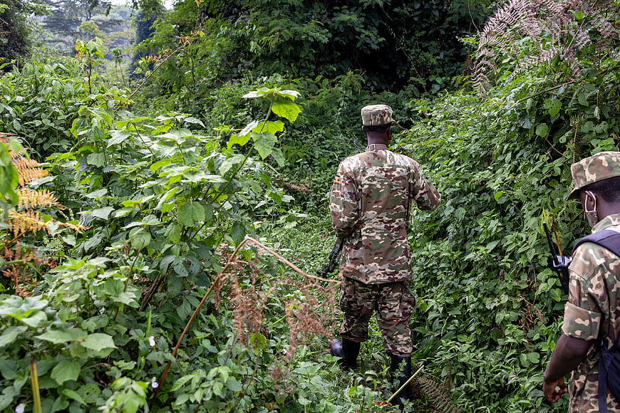 Soldiers in camouflage uniforms walking through dense jungle forest