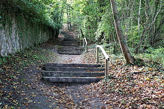 Forest Path With Stone Steps And Handrails