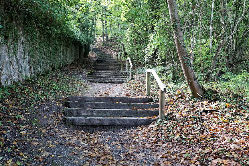 Forest Path With Stone Steps And Handrails
