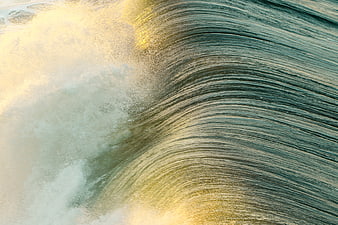 Close-up of a curling ocean wave with golden sunlight