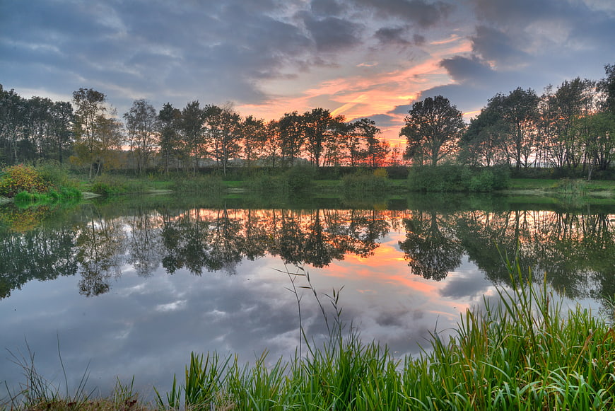 Serene Lake Reflection at Sunset with Forest Silhouette