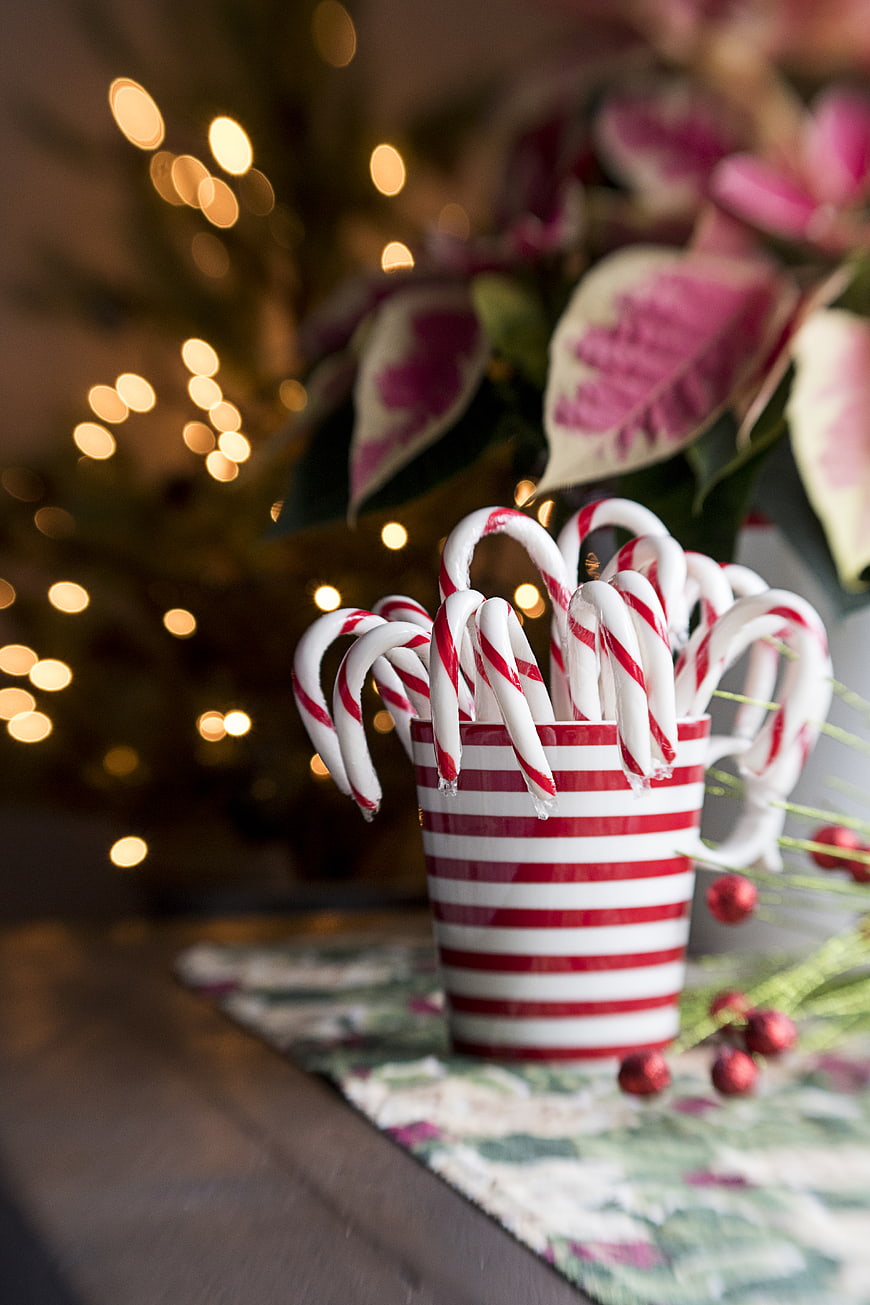 Candy Canes in Red Striped Mug with Christmas Lights