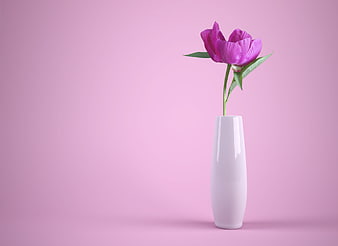 Single purple peony in white vase on pink background