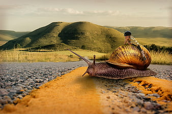 Surreal Girl Riding Giant Snail on Country Road