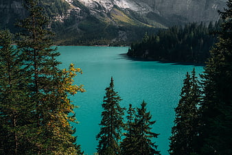 Turquoise Alpine Lake Surrounded by Pine Forest and Mountains