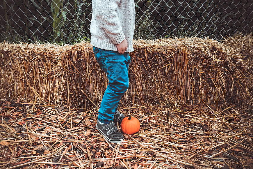 Child Standing Next to Pumpkin on Hay Bale