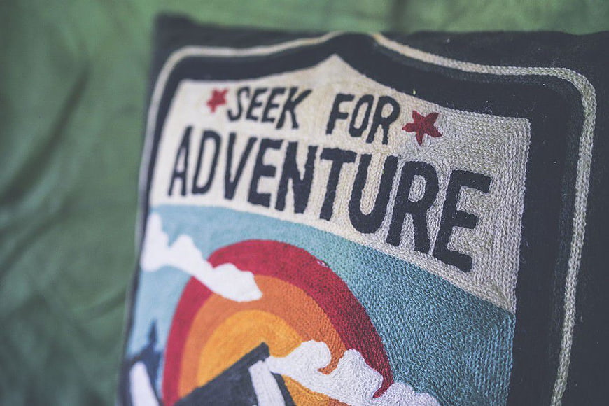 Close-up of Seek for Adventure Embroidered Pillow