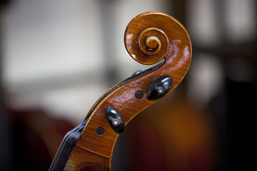 Close-up of a polished wooden violin scroll and pegbox