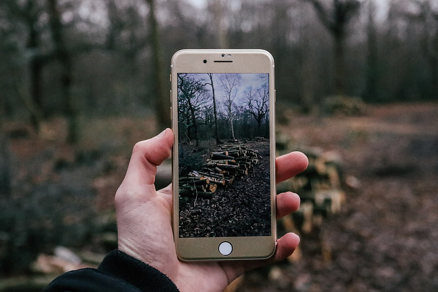 Hand holding smartphone photographing stacked logs in forest