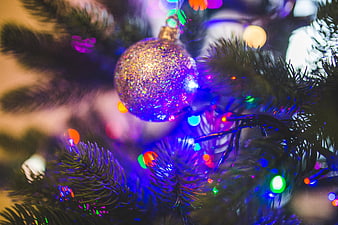 Close-up of Glittering Christmas Ornament on Pine Tree with Lights