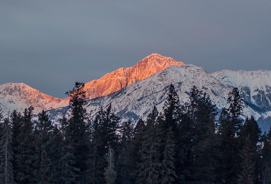 Alpenglow on Snowy Mountain Peak Above Dark Forest